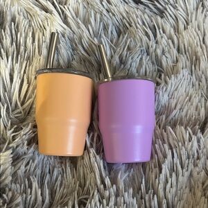 Orange and Purple Insulated Mini Tumblers with Straws